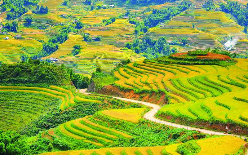Mộc Châu – Sơn La – Điện Biên – Lai Châu – Sapa