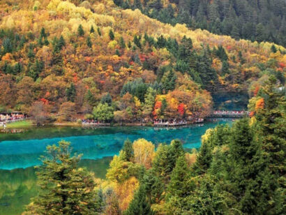 Cửu trại câu Trung Quốc