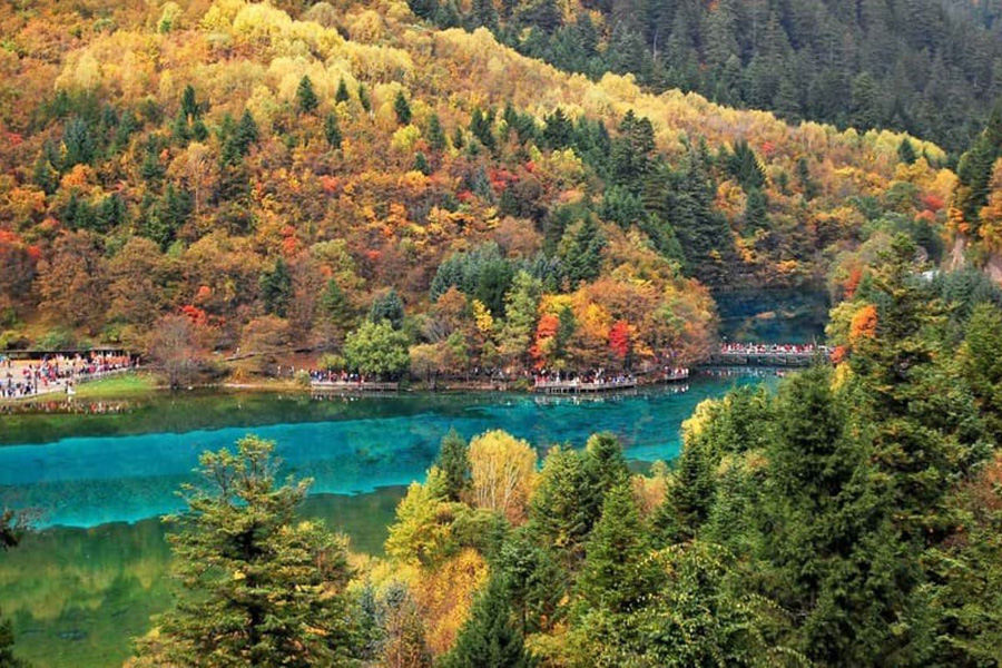 Cửu trại câu Trung Quốc