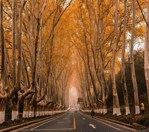 Hành hương Giang nam Trung Quốc Phổ Đà Sơn – Cửu Hoa Sơn - Ảnh 8