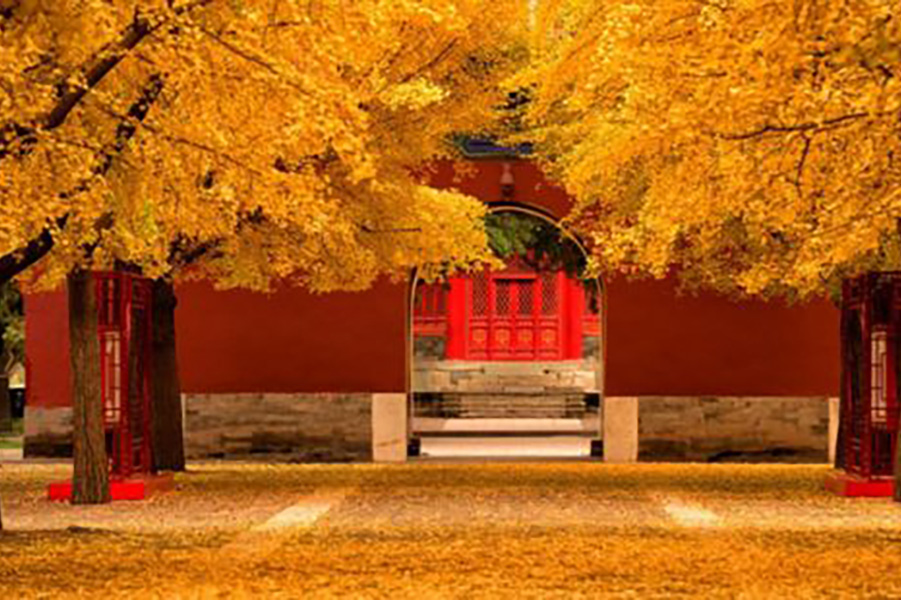 Khám phá mùa thu Bắc Kinh (Tour No Shopping - KS 4 sao) - Ảnh 2