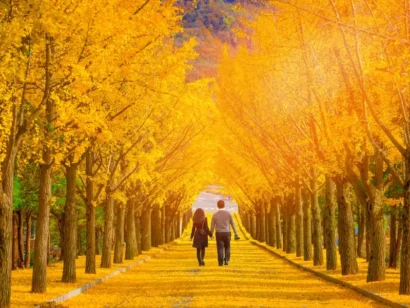 du lịch Hàn quốc mùa thu