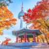 Mùa thu Hàn Quốc: Seoul – Đảo Nami – Everland - Làng Cổ Namsan - Hải Âu