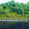 Vườn quốc gia Nam Cát Tiên