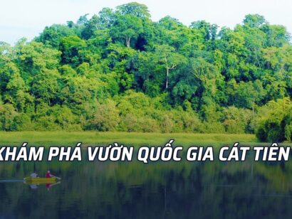 Vườn quốc gia Nam Cát Tiên