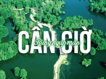 Khu du lịch sinh thái Cần Giờ