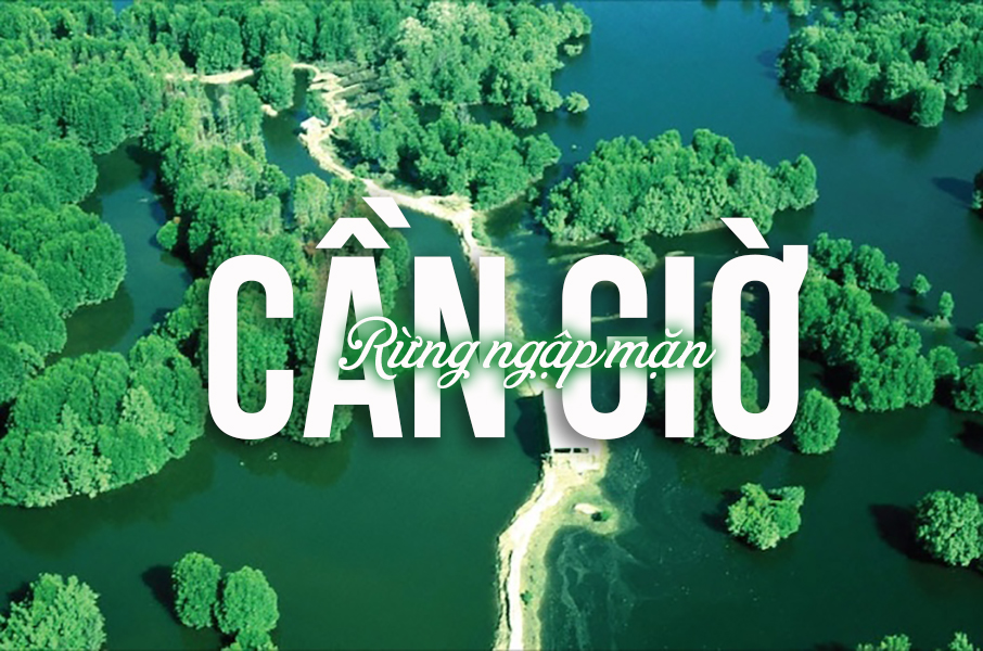 Khu du lịch sinh thái Cần Giờ