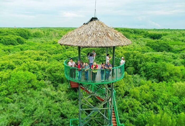 Tour dành riêng cho học sinh - Rừng ngập mặn Cần Giờ - Ảnh 3
