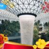 Tour tết Singapore