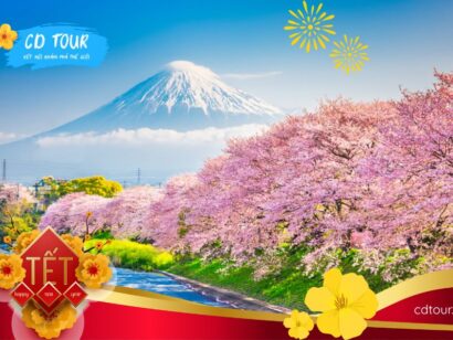 Du xuân Nhật Bản - Trượt tuyết và ngắm hoa anh đào