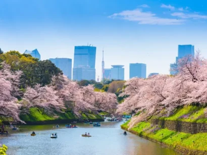 Nhật Bản mùa hoa anh đào
