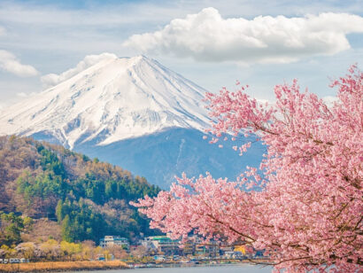 Hoa Anh đào Nhật bản