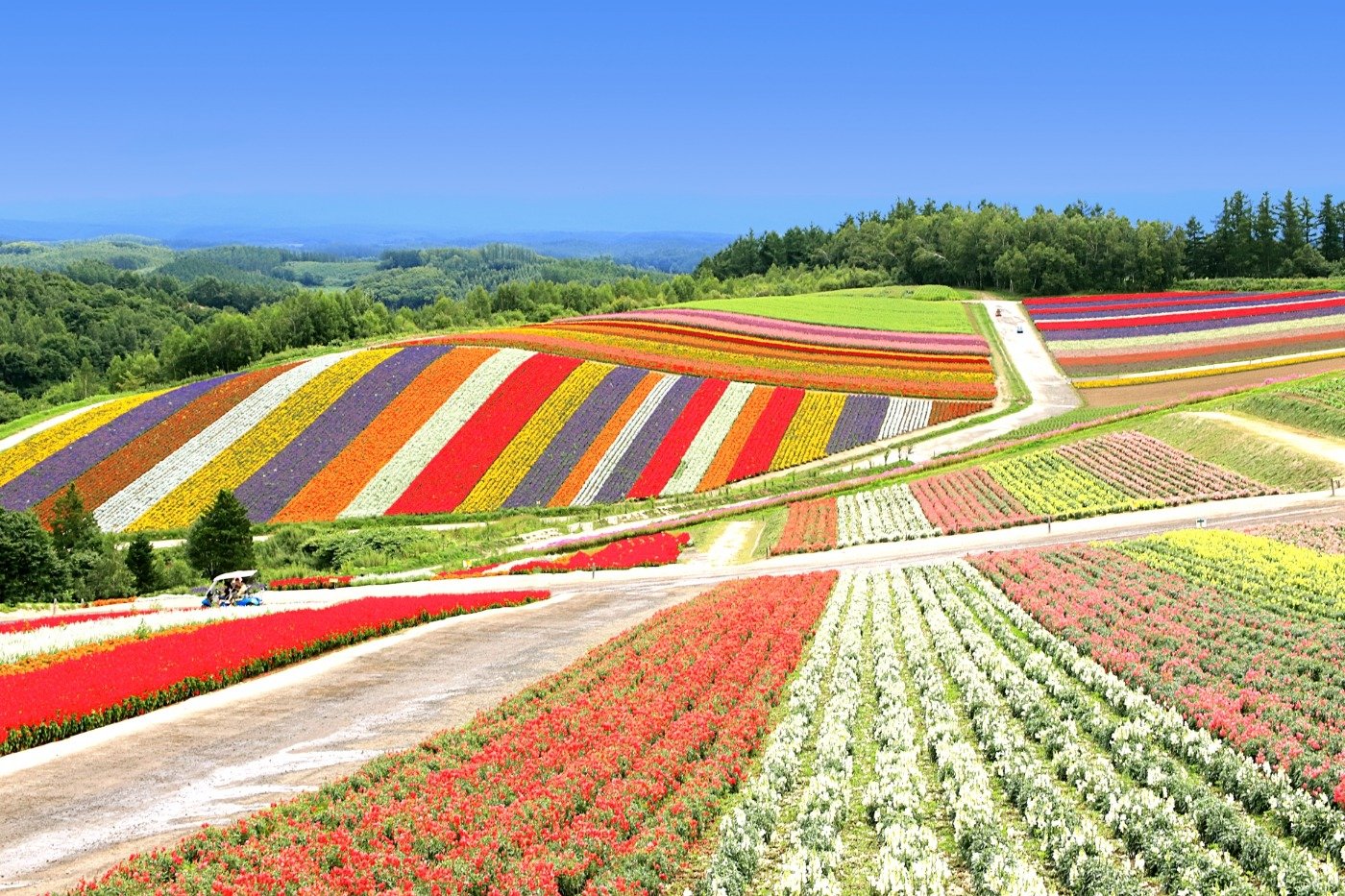 Mùa hè Nhật Bản Hokkaido: Asahikawa – Sapporo – Noboribetsu - Ảnh 7