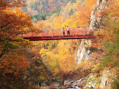Mùa thu Nhật Bản Hokkaido: Asahikawa – Sapporo – Noboribetsu