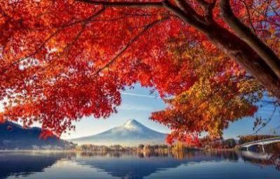 Mùa thu trên cung đường vàng Nhật Bản Tokyo - Phú Sĩ - Nagoya - Kyoto - Osaka - Ảnh 6