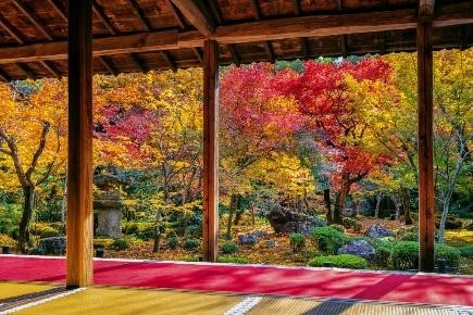Mùa thu trên cung đường vàng Nhật Bản Tokyo - Phú Sĩ - Nagoya - Kyoto - Osaka - Ảnh 7